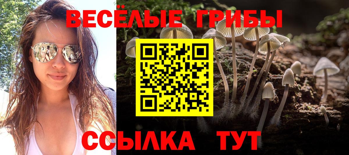Псилоцибиновые грибы GOLDEN TEACHER Кингисепп