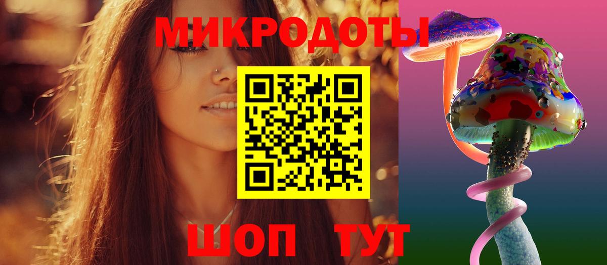 Галлюциногенные грибы Psilocybine cubensis  Вход с VPN  Псилоцибиновые грибы MAGIC MUSHROOMS  Кингисепп 